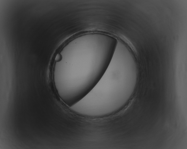 X0000101170876200806270751