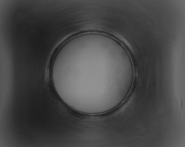 X0000101170877200806270751