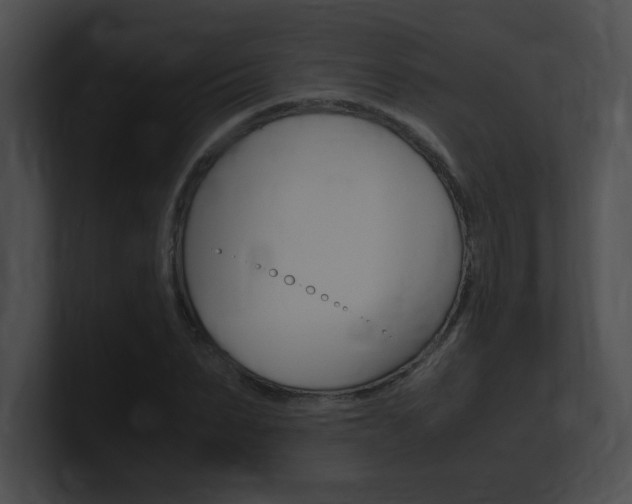 X0000101170879200806270751
