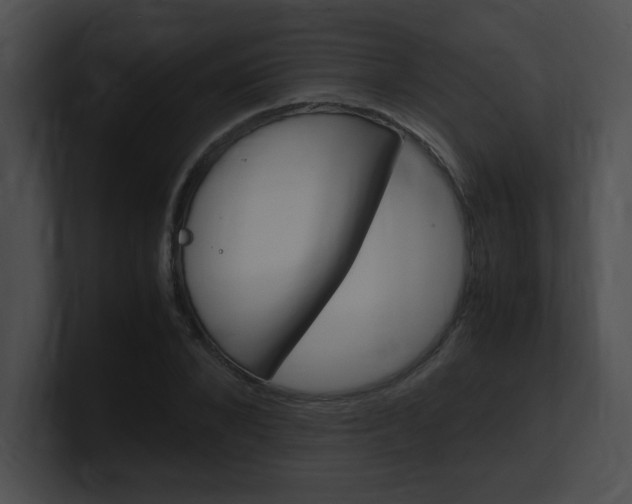 X0000101170880200806270751