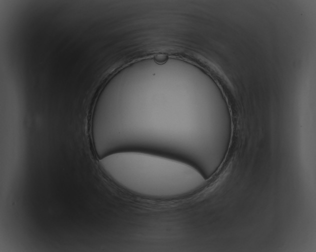 X0000101170881200806270751