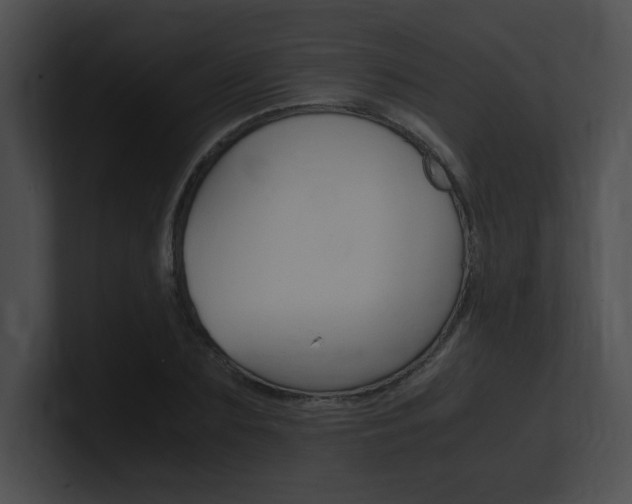 X0000101170883200806270751
