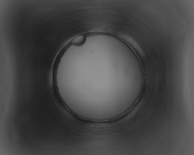 X0000101170884200806270751