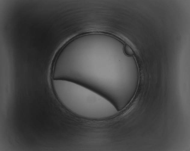 X0000101170885200806270751