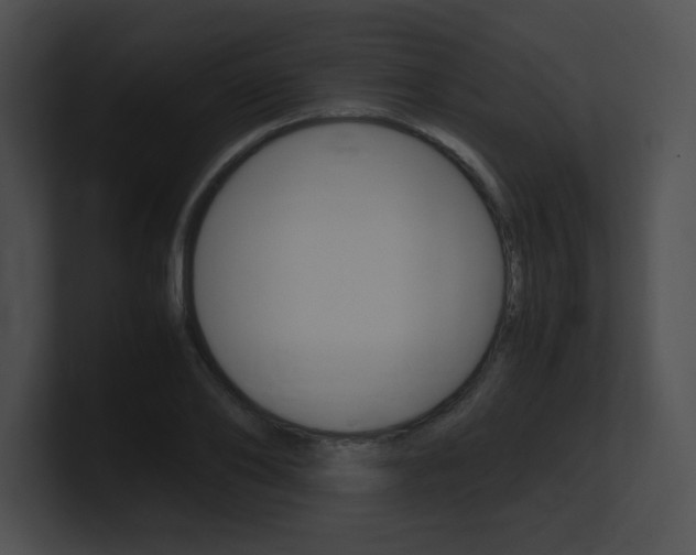 X0000101170886200806270751