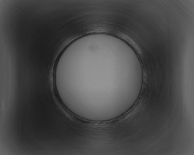 X0000101170890200806270751