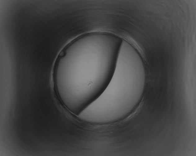 X0000101170892200806270751