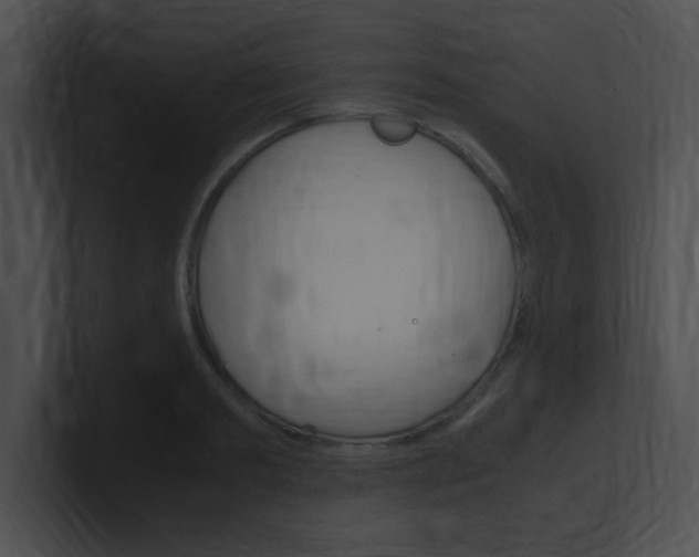 X0000101170893200806270751