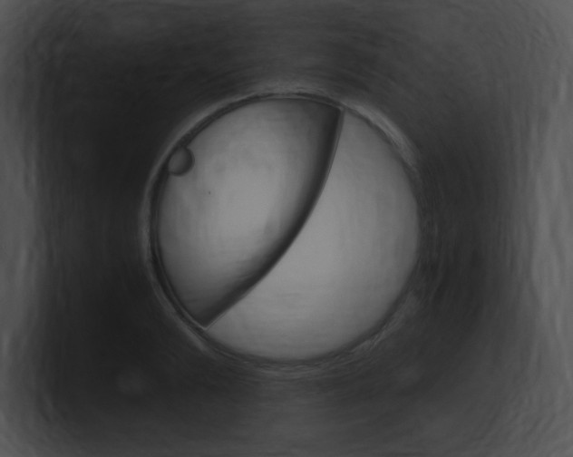 X0000101170894200806270751