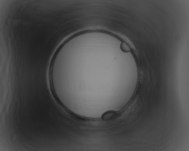 X0000101170895200806270751