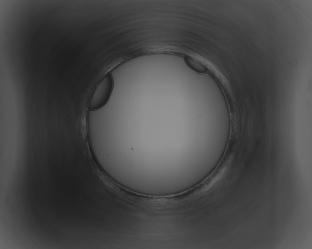 X0000101170897200806270751