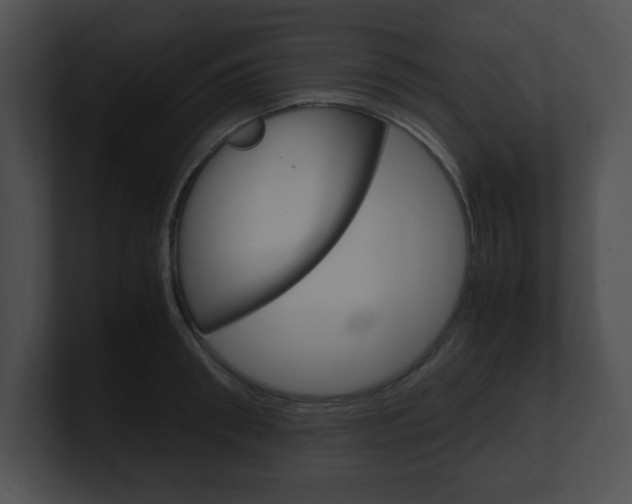 X0000101170898200806270751