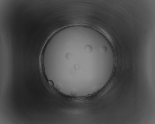 X0000101170899200806270751