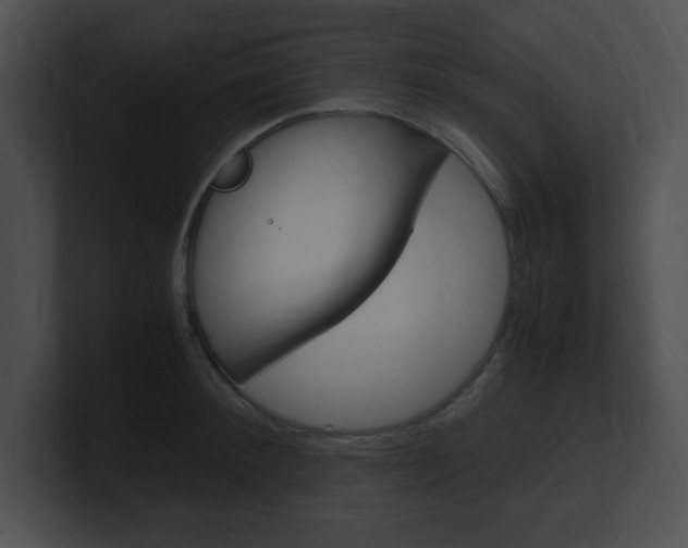 X0000101170900200806270751