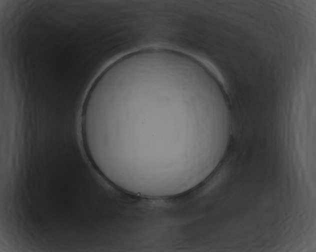 X0000101170903200806270751