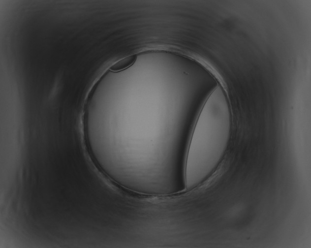 X0000101170906200806270751