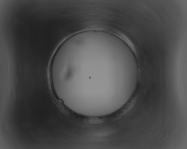 X0000101170907200806270751