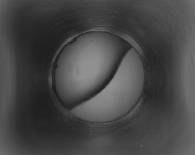 X0000101170908200806270751