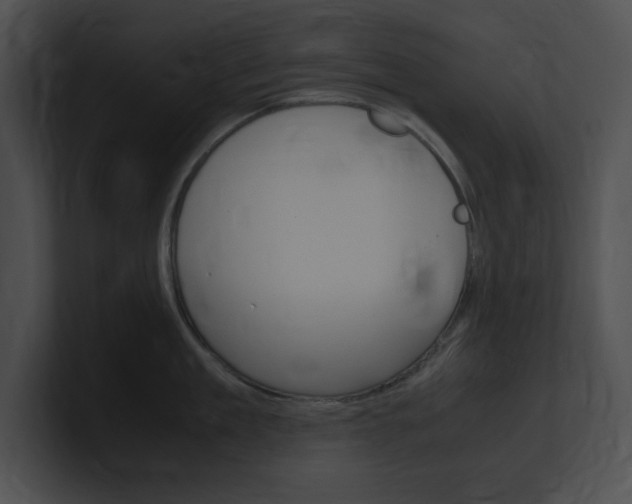 X0000101170909200806270751