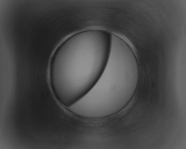 X0000101170910200806270751