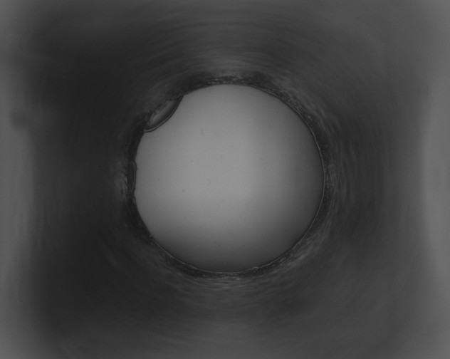 X0000101170916200806270750
