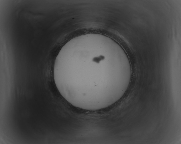 X0000101170918200806270750