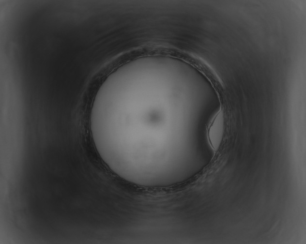 X0000101170919200806270750