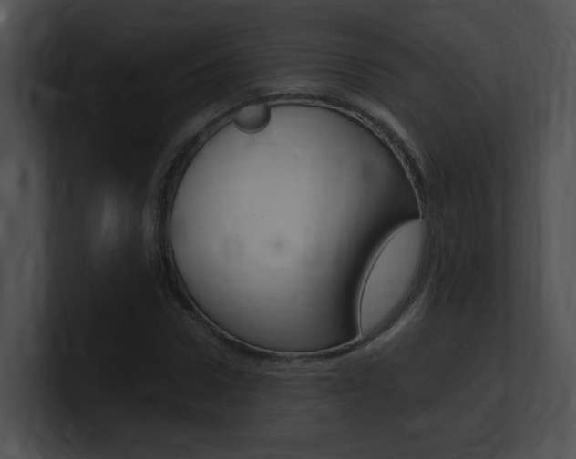 X0000101170922200806270750