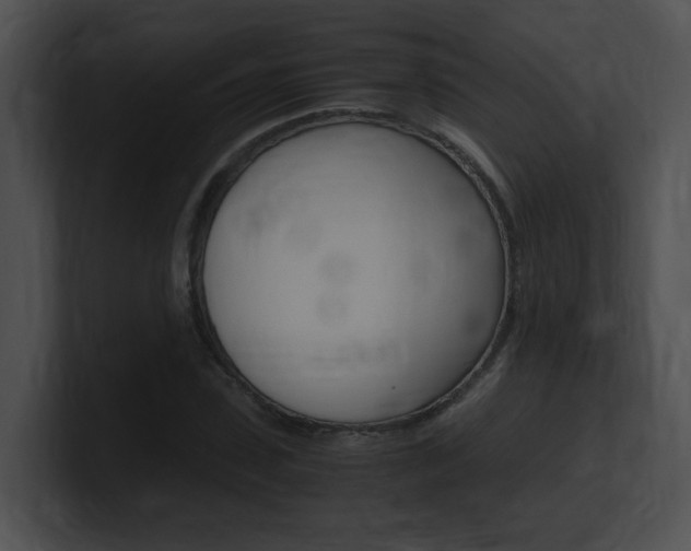 X0000101170923200806270750