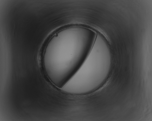 X0000101170926200806270750