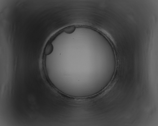 X0000101170928200806270750