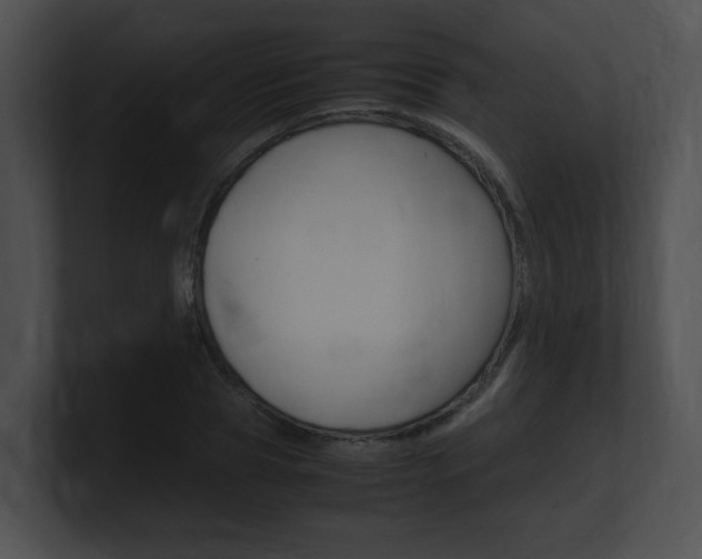 X0000101170929200806270750