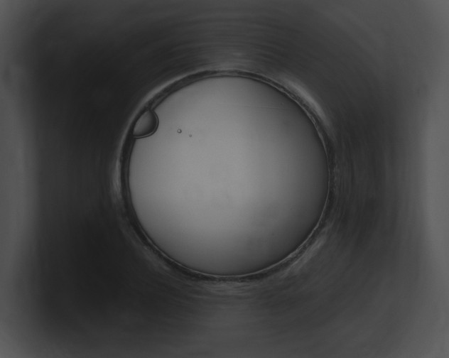 X0000101170932200806270750