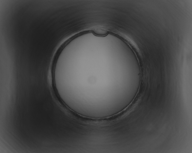 X0000101170936200806270750