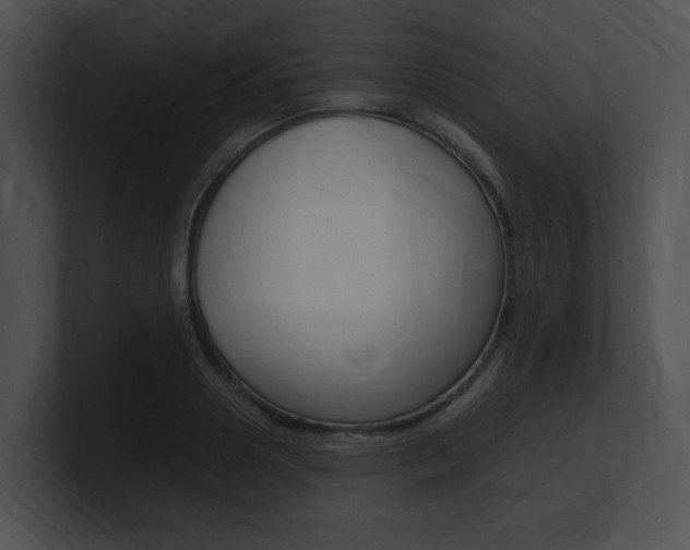 X0000101170938200806270750