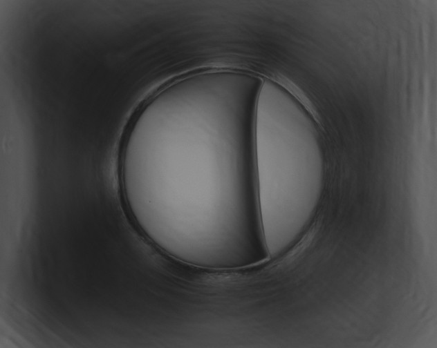 X0000101170939200806270750