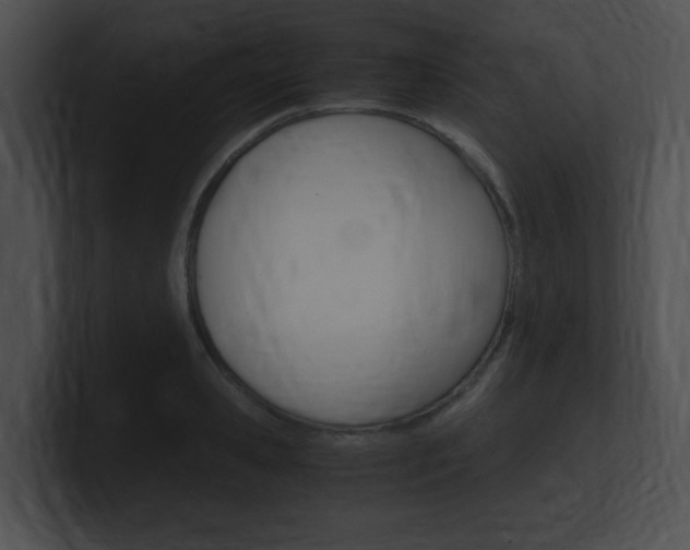 X0000101170941200806270750