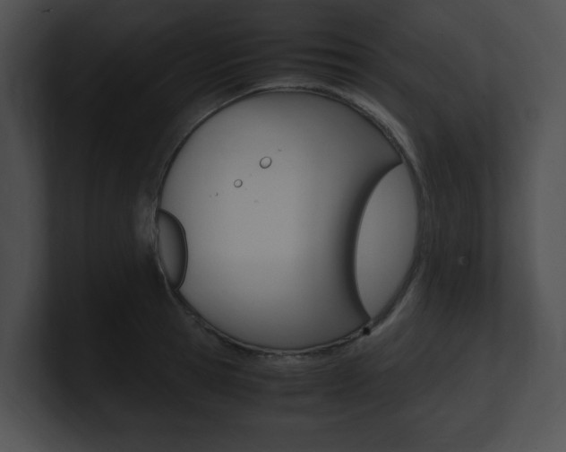 X0000101170945200806270750