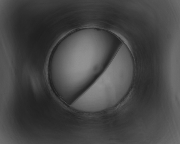 X0000101170949200806270750