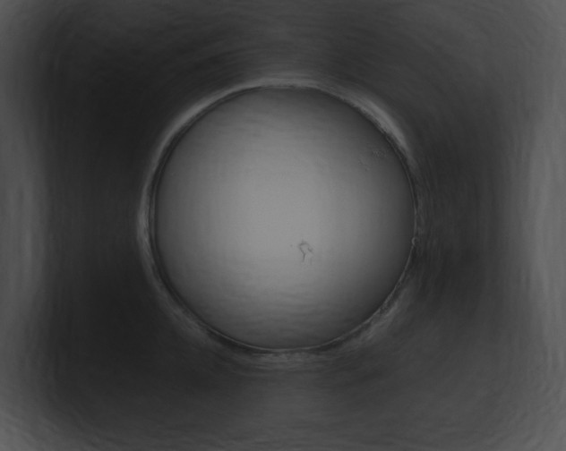 X0000101170952200806270751