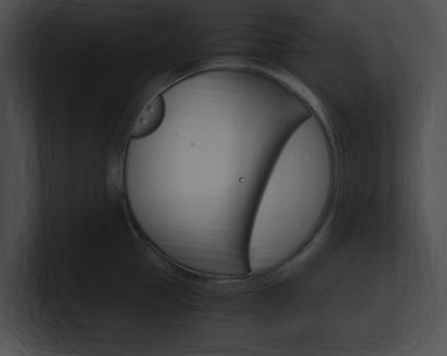 X0000101170953200806270751