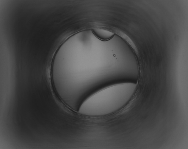 X0000101170954200806270751