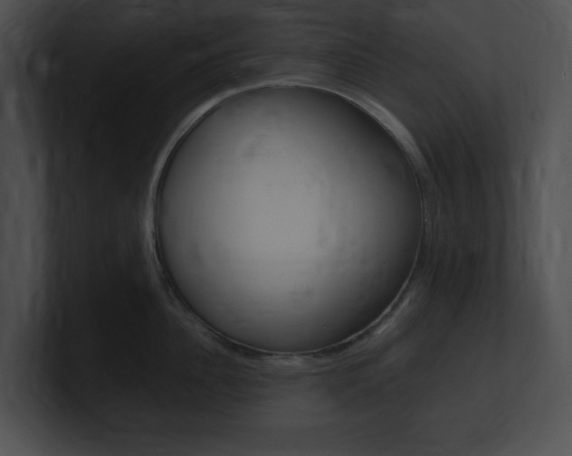 X0000101170956200806270751