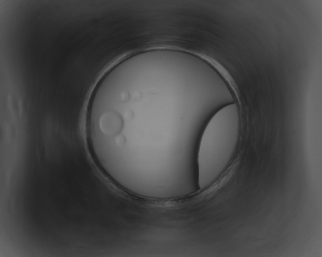 X0000101170957200806270751