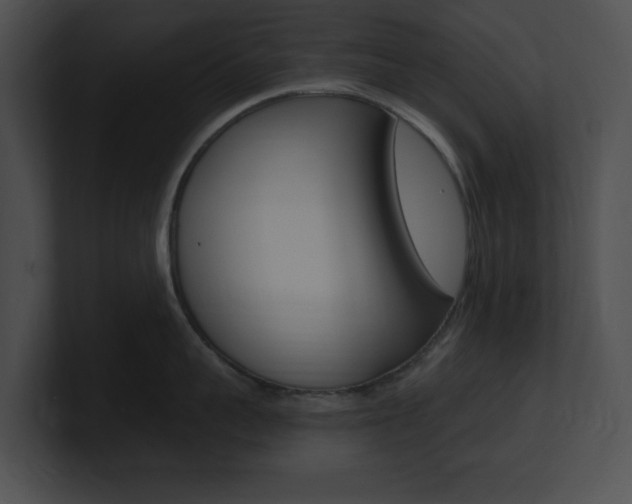 X0000101170959200806270751