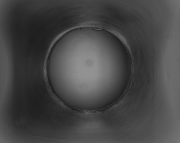 X0000101170960200806270751