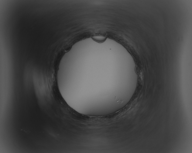 X0000101170963200806270750