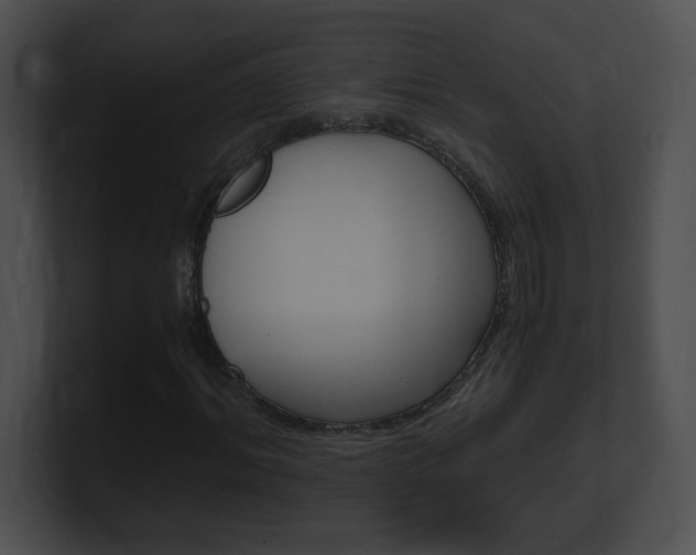 X0000101170964200806270750