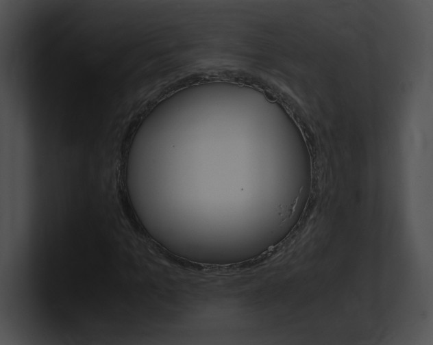 X0000101170965200806270750