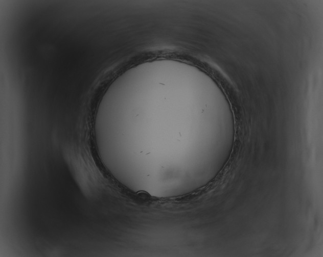 X0000101170967200806270750